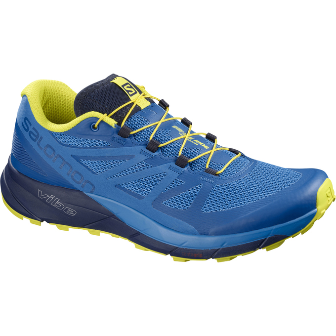 Salomon Singapore Mens Trail Running Shoes - SENSE RIDE Blue/Navy | 07491-MRKT